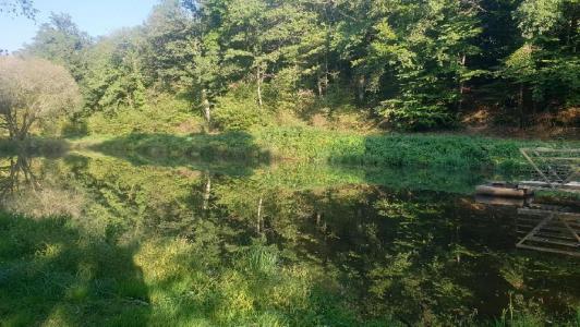 Acheter Terrain 21498 m2 