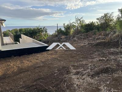 Annonce Vente Terrain Saint-joseph 974