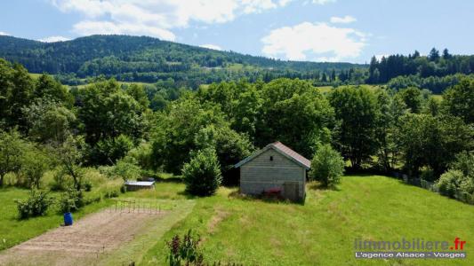 Annonce Vente 6 pices Maison Wisembach 88