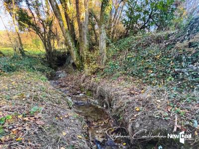 Acheter Prestige Gresy-sur-aix Savoie