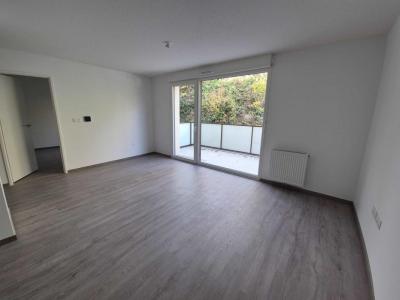 Annonce Location 2 pices Appartement Nancy 54