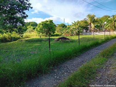 Annonce Vente Terrain Marin 972