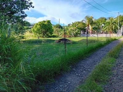 Acheter Terrain 645 m2 Marin