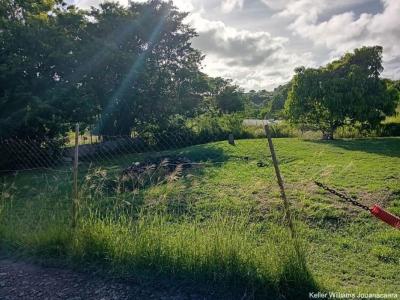 Acheter Terrain Marin Martinique