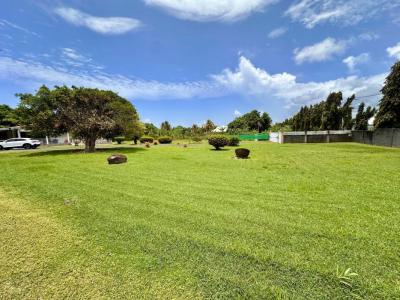 Annonce Vente Terrain Petit-bourg 971