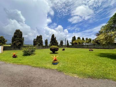 Acheter Terrain Petit-bourg Guadeloupe