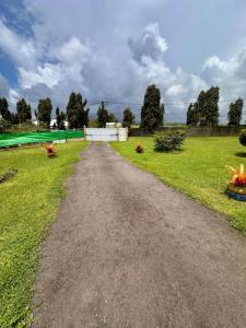 Acheter Terrain Petit-bourg 136000 euros