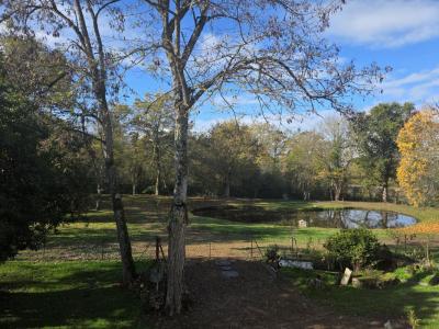 Acheter Maison 190 m2 Vallet