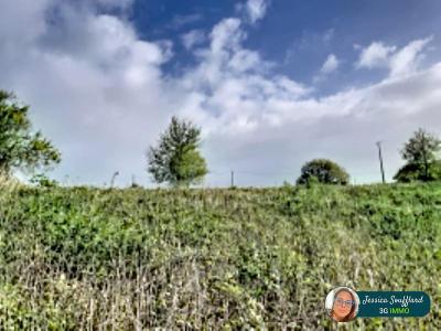 For sale Peyre Landes (40700) photo 0