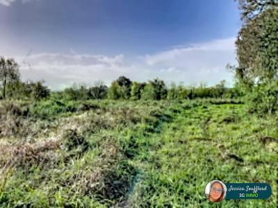 Acheter Terrain Peyre Landes