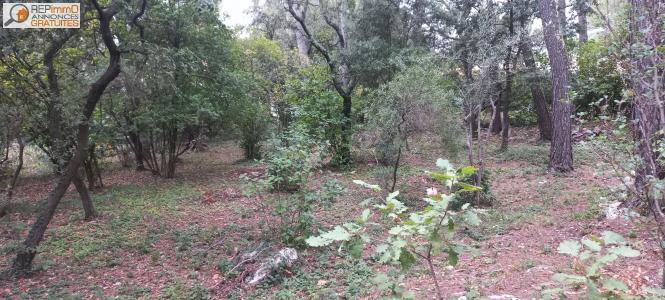 Acheter Terrain Saint-clement-de-riviere