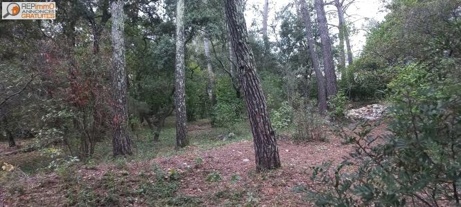 Acheter Terrain Saint-clement-de-riviere Herault