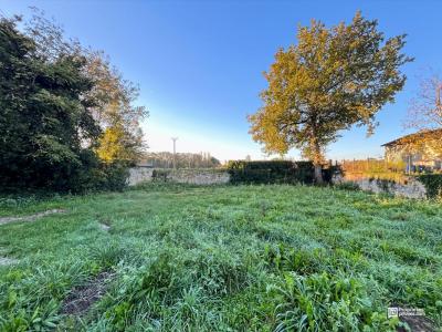 Acheter Terrain 921 m2 Saint-andre-de-cubzac