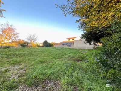 Acheter Terrain Saint-andre-de-cubzac Gironde