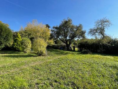 Annonce Vente 2 pices Maison Vitry-aux-loges 45