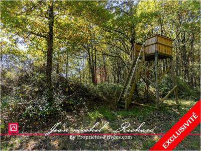 Annonce Vente Terrain Courmemin 41