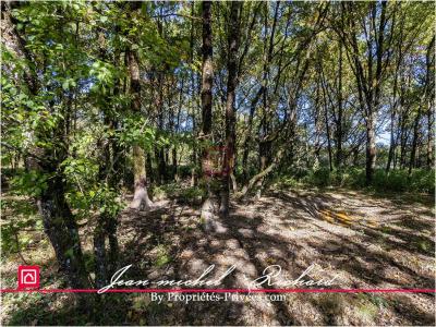 Acheter Terrain 32767 m2 Courmemin