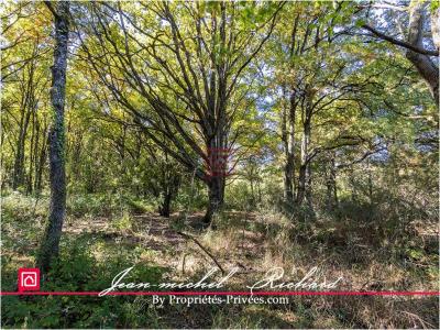 Acheter Terrain Courmemin Loir et cher