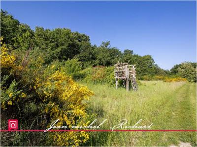 For sale Chemery LE-CONTROIS-EN-SOLOGNE 32767 m2 Loir et cher (41700) photo 2