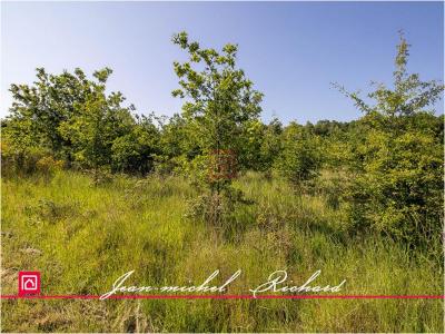 For sale Chemery LE-CONTROIS-EN-SOLOGNE 32767 m2 Loir et cher (41700) photo 3