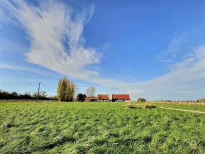 For sale Cappelle-brouck 4 rooms 94 m2 Nord (59630) photo 0