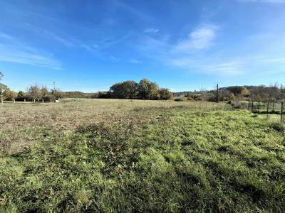 Annonce Vente Terrain Montpeyroux 24