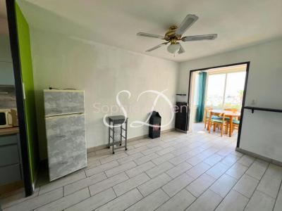 Annonce Vente 2 pices Appartement Saint-cyprien 66