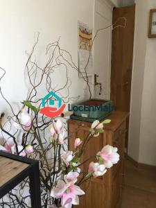 Louer Appartement 18 m2 Paris-20eme-arrondissement