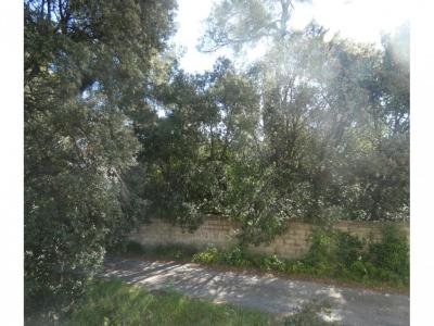 Acheter Appartement Montpellier 189000 euros