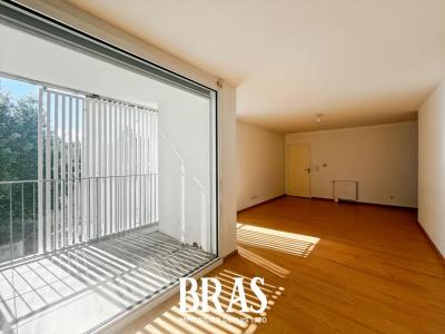 Annonce Vente 3 pices Appartement Nantes 44