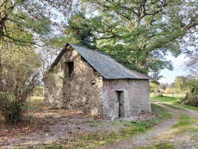 Annonce Vente 4 pices Maison  53