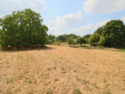 Acheter Terrain  37060 euros
