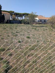 For sale Aude (11590) photo 1