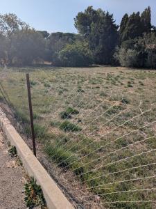 For sale Aude (11590) photo 2