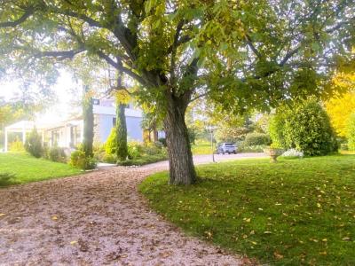 For sale Gannat 11 rooms 288 m2 Allier (03800) photo 3