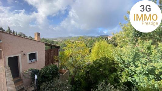 Acheter Maison 230 m2 Londe-les-maures