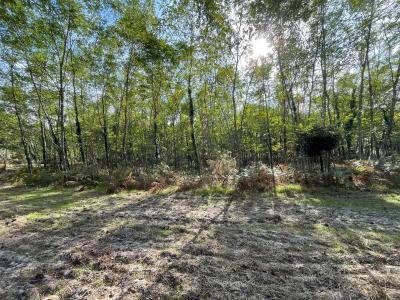 Annonce Vente Terrain Barbaste 47