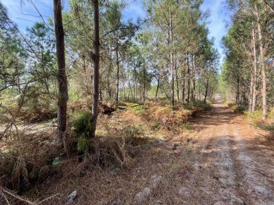 Acheter Terrain Barbaste