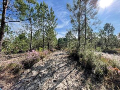 Acheter Terrain Barbaste Lot et garonne