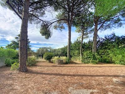 Annonce Vente 5 pices Maison Cournonterral 34