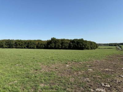Annonce Vente Terrain Neuillay-les-bois 36