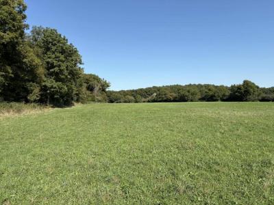 Acheter Terrain Neuillay-les-bois 902000 euros