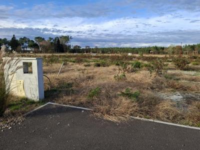 For sale Laluque 769 m2 Landes (40465) photo 0