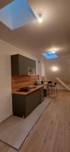 Louer Appartement Lyon-7eme-arrondissement 725 euros