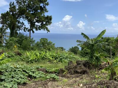 For sale Trois-rivieres 850 m2 Guadeloupe (97114) photo 0