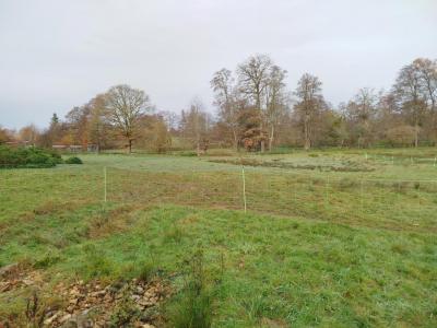 Acheter Prestige Magny-jobert Haute saone