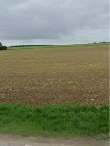 Annonce Vente Terrain Anais 17