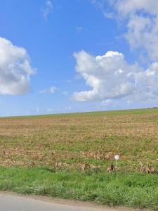 Annonce Vente Terrain Dompierre-sur-mer 17