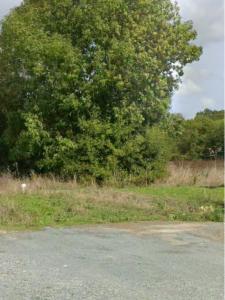 For sale Vouhe 573 m2 Charente maritime (17700) photo 0