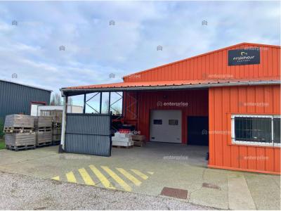 For rent Provin 500 m2 Nord (59185) photo 1